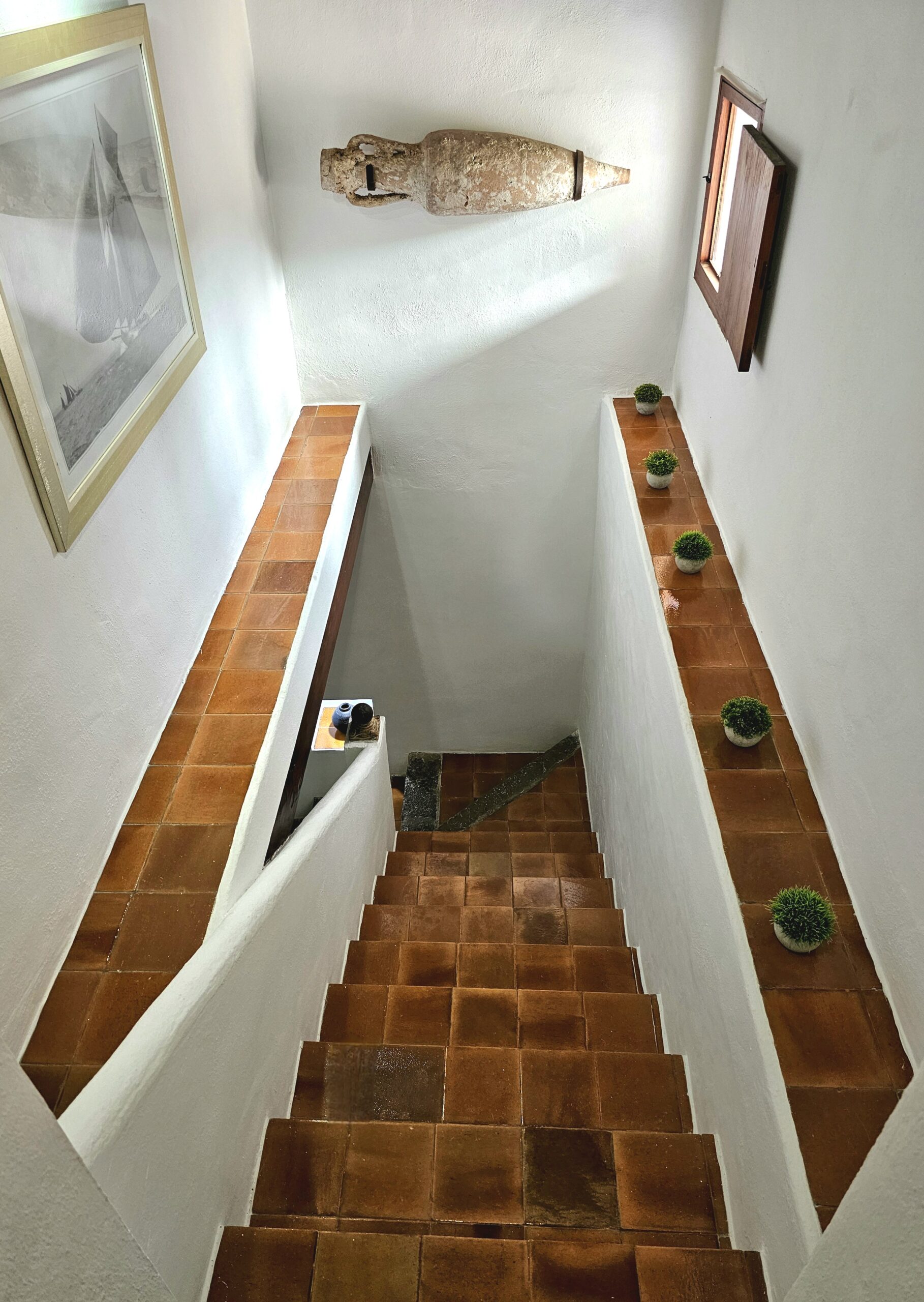 FINCA SA CAROCCA