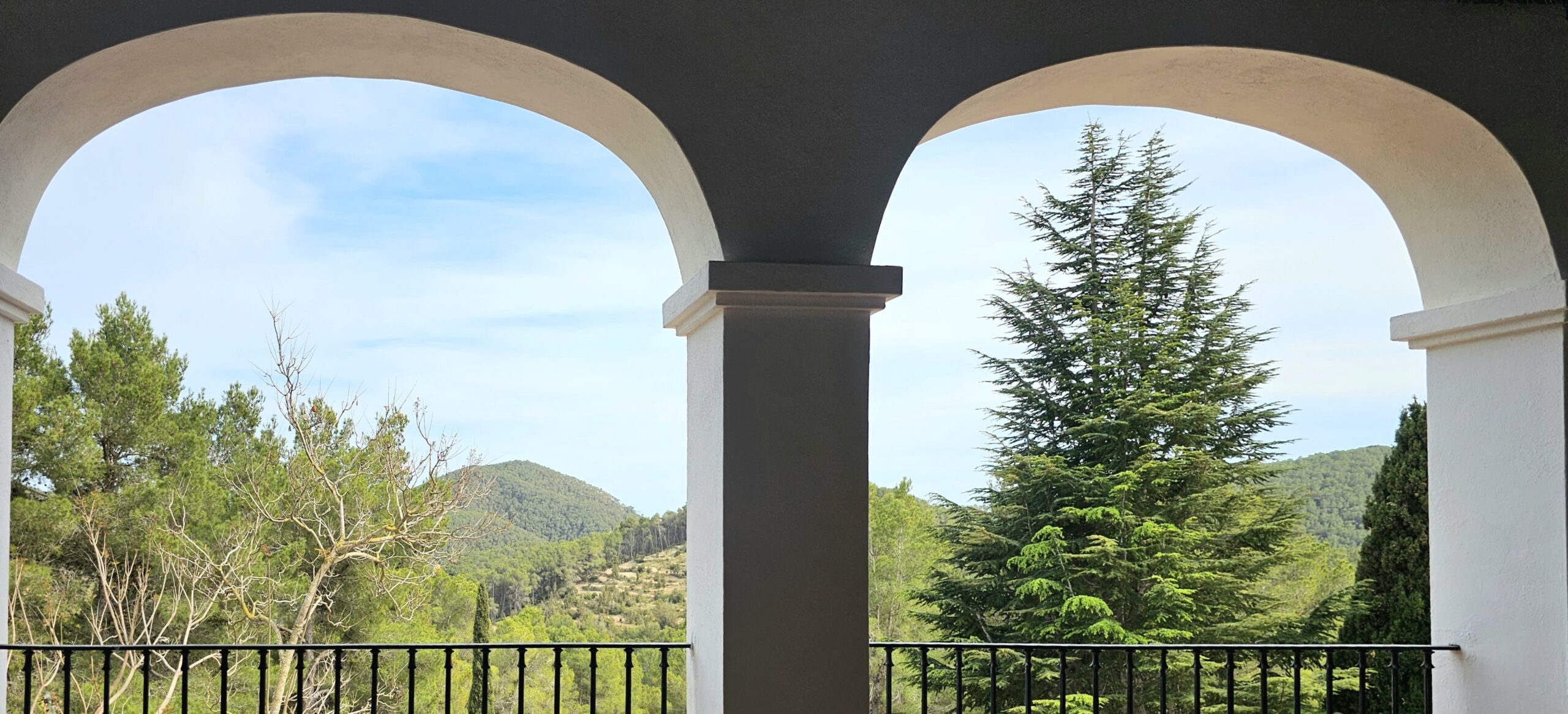 FINCA SA CAROCCA