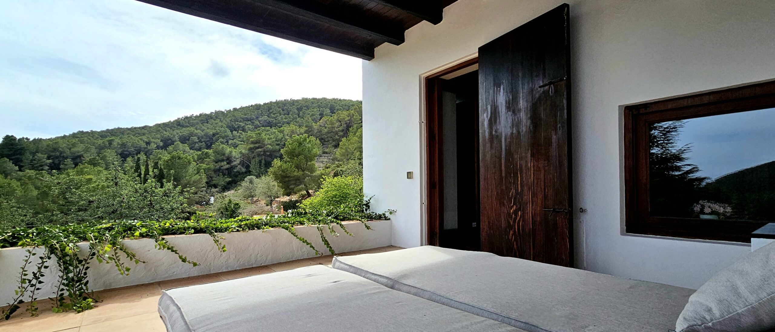 FINCA SA CAROCCA