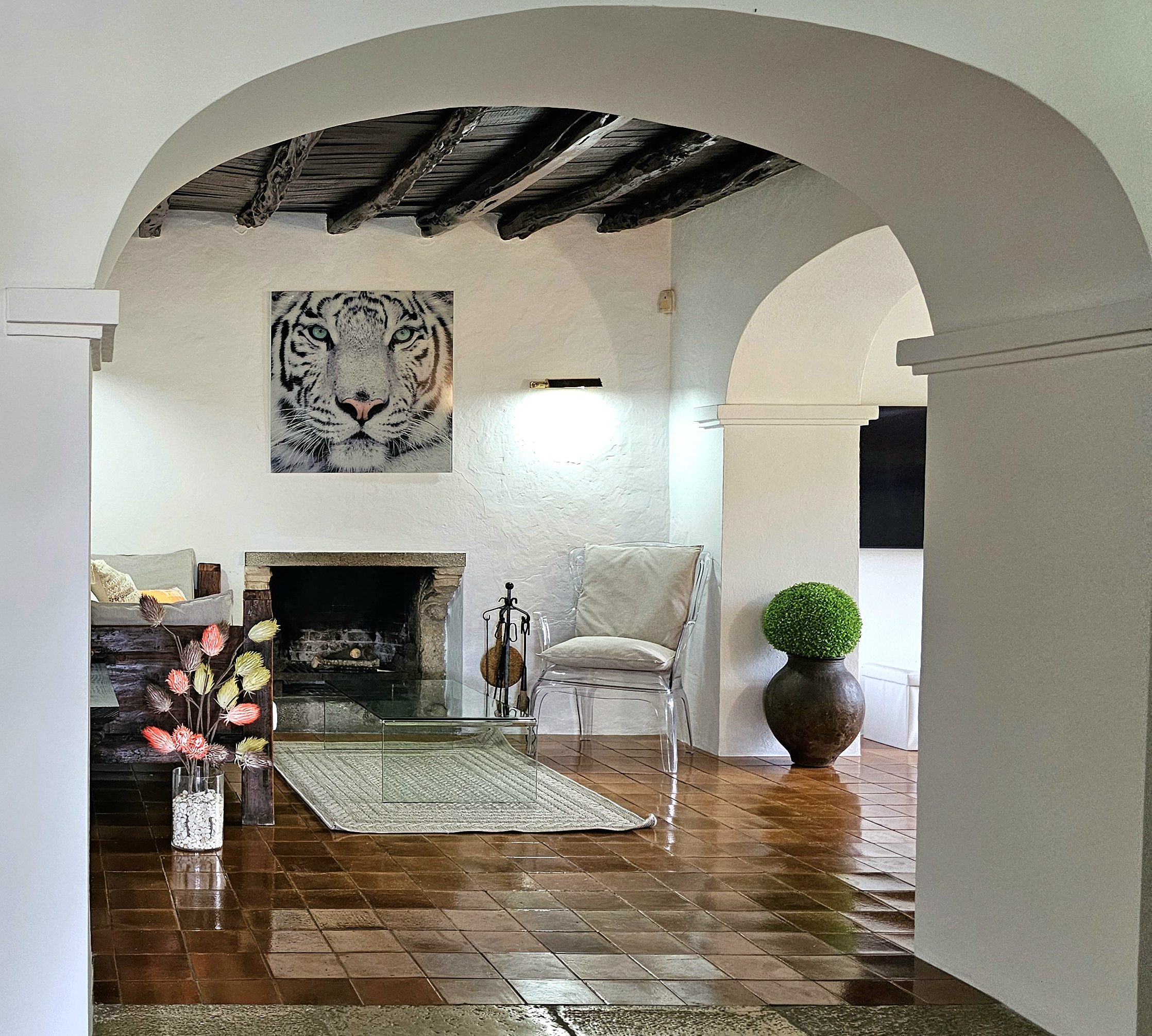 FINCA SA CAROCCA