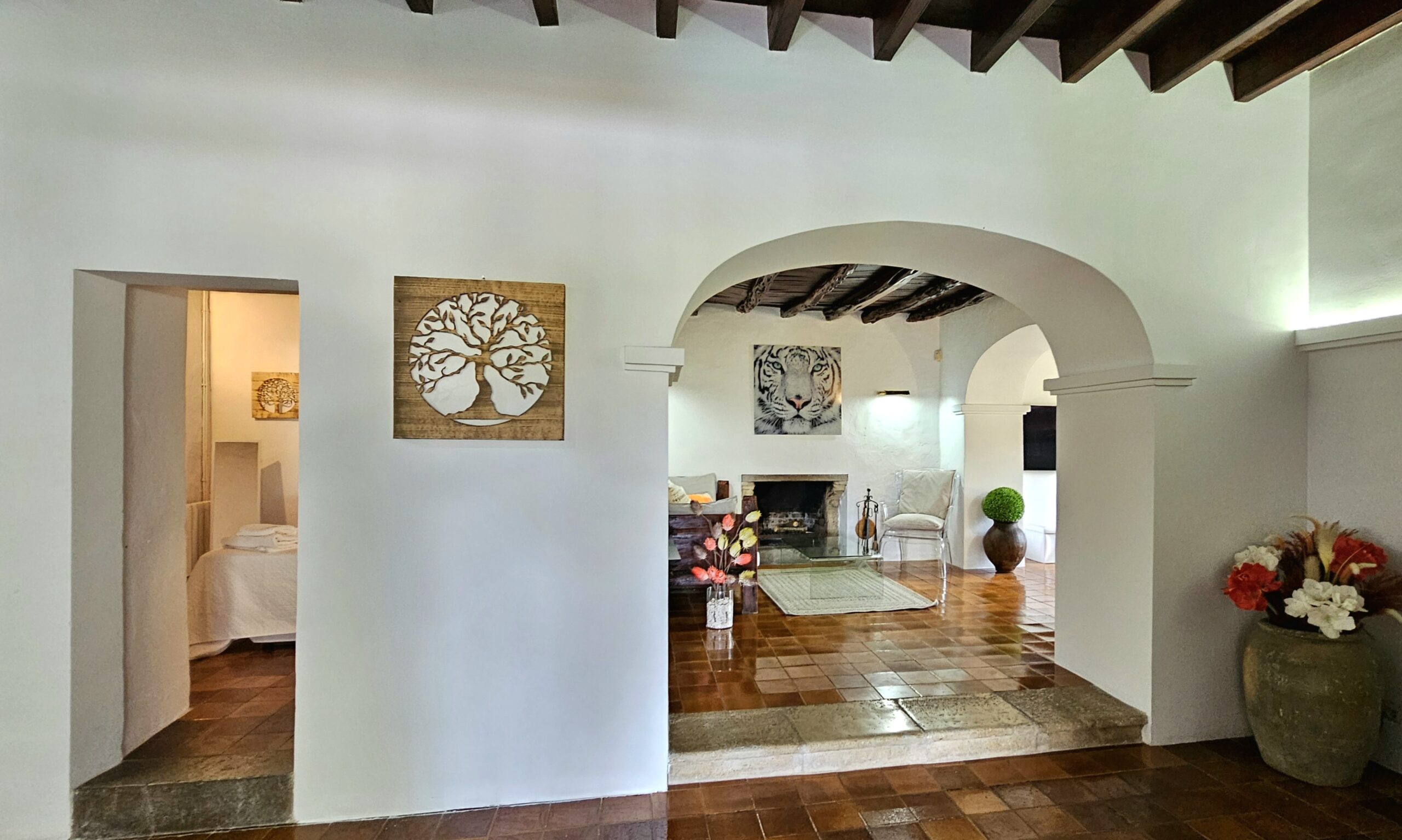 FINCA SA CAROCCA