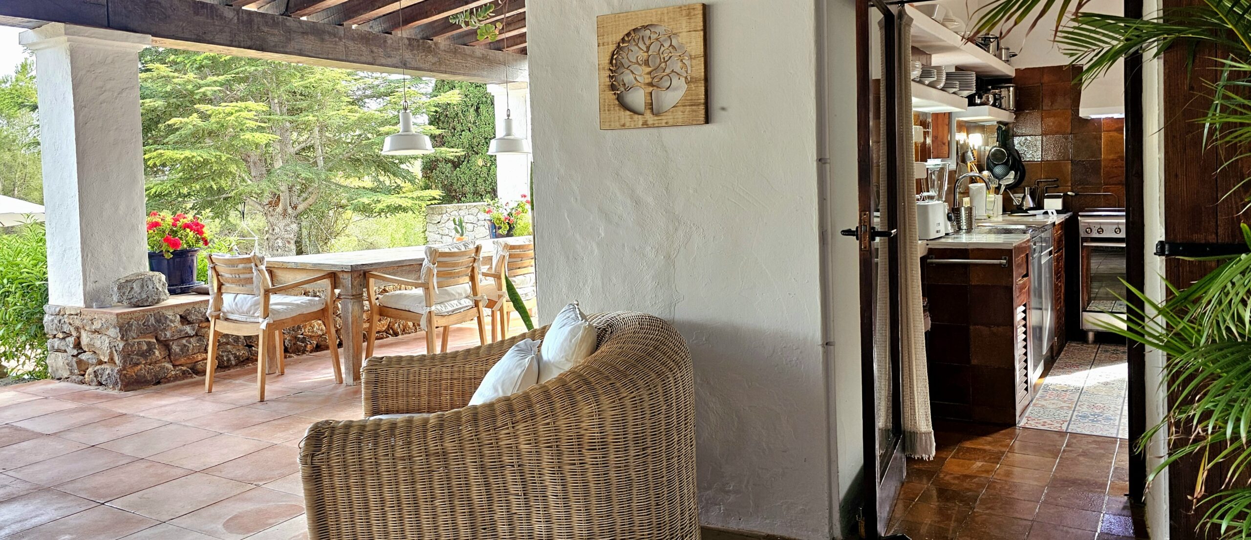 FINCA SA CAROCCA