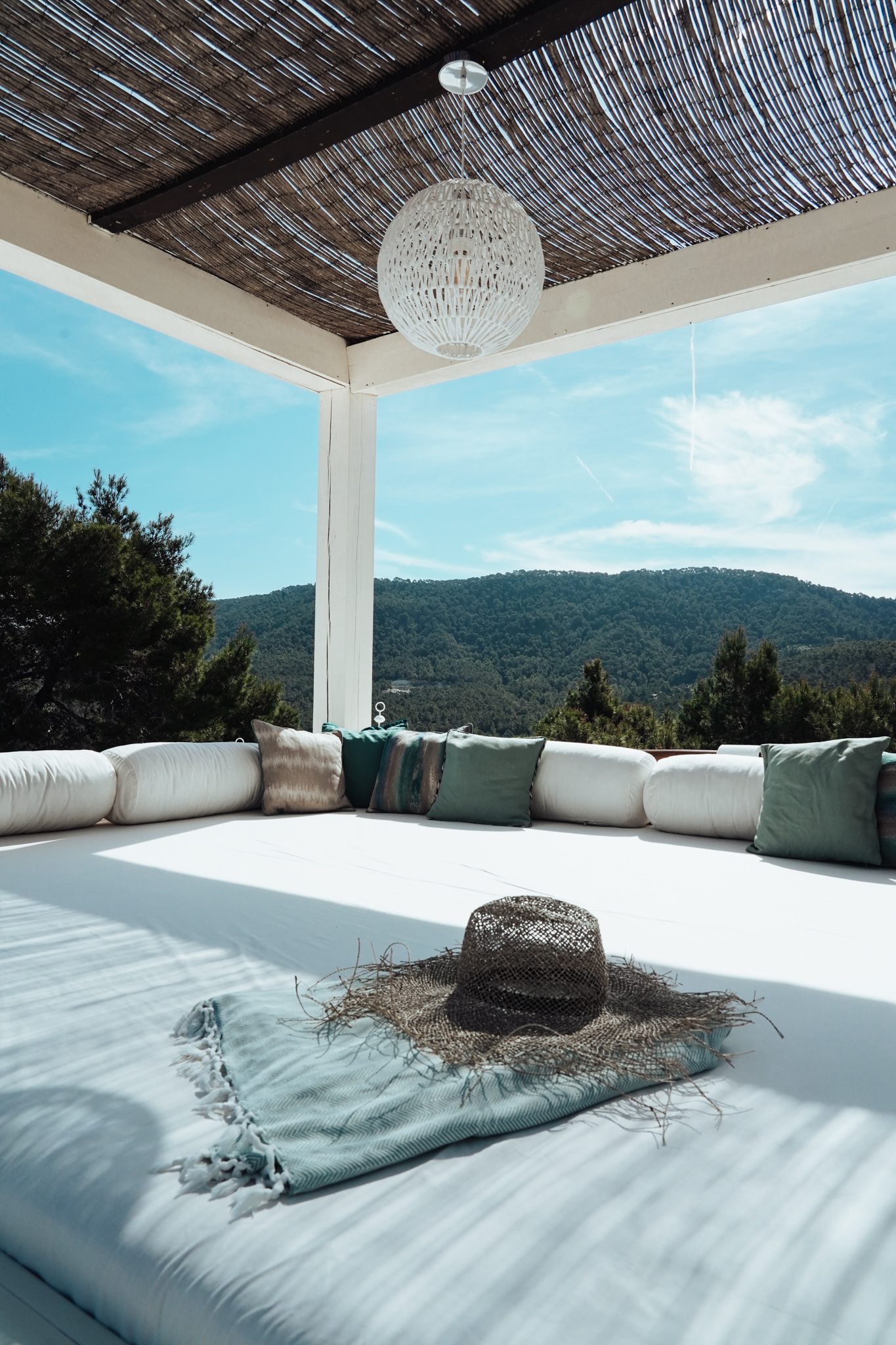 CAN PURA VIDA