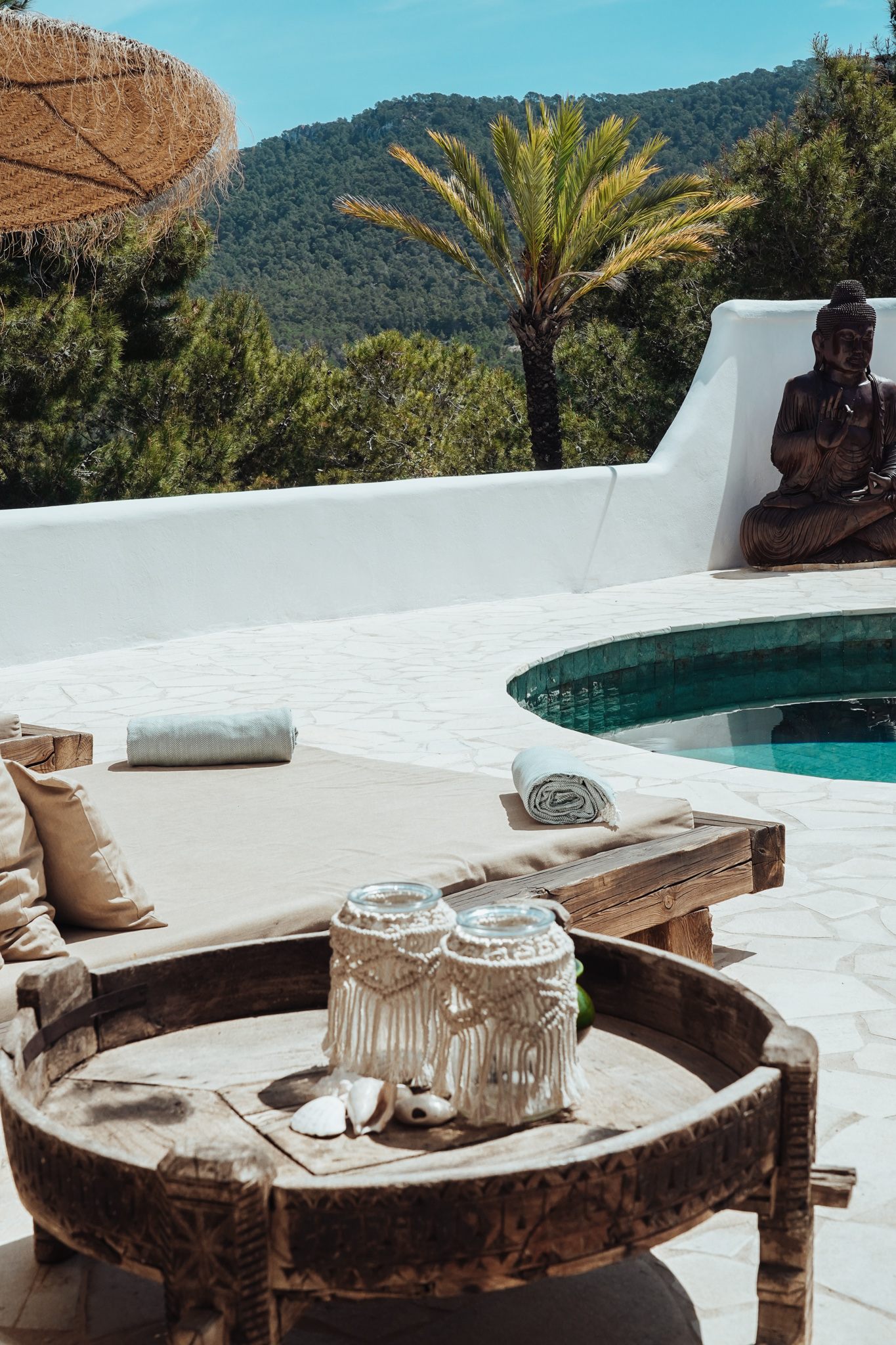 CAN PURA VIDA