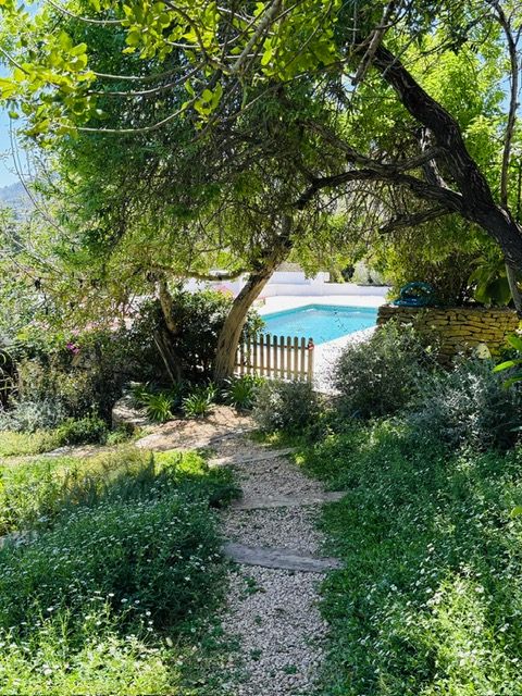 CAN LILUSH
