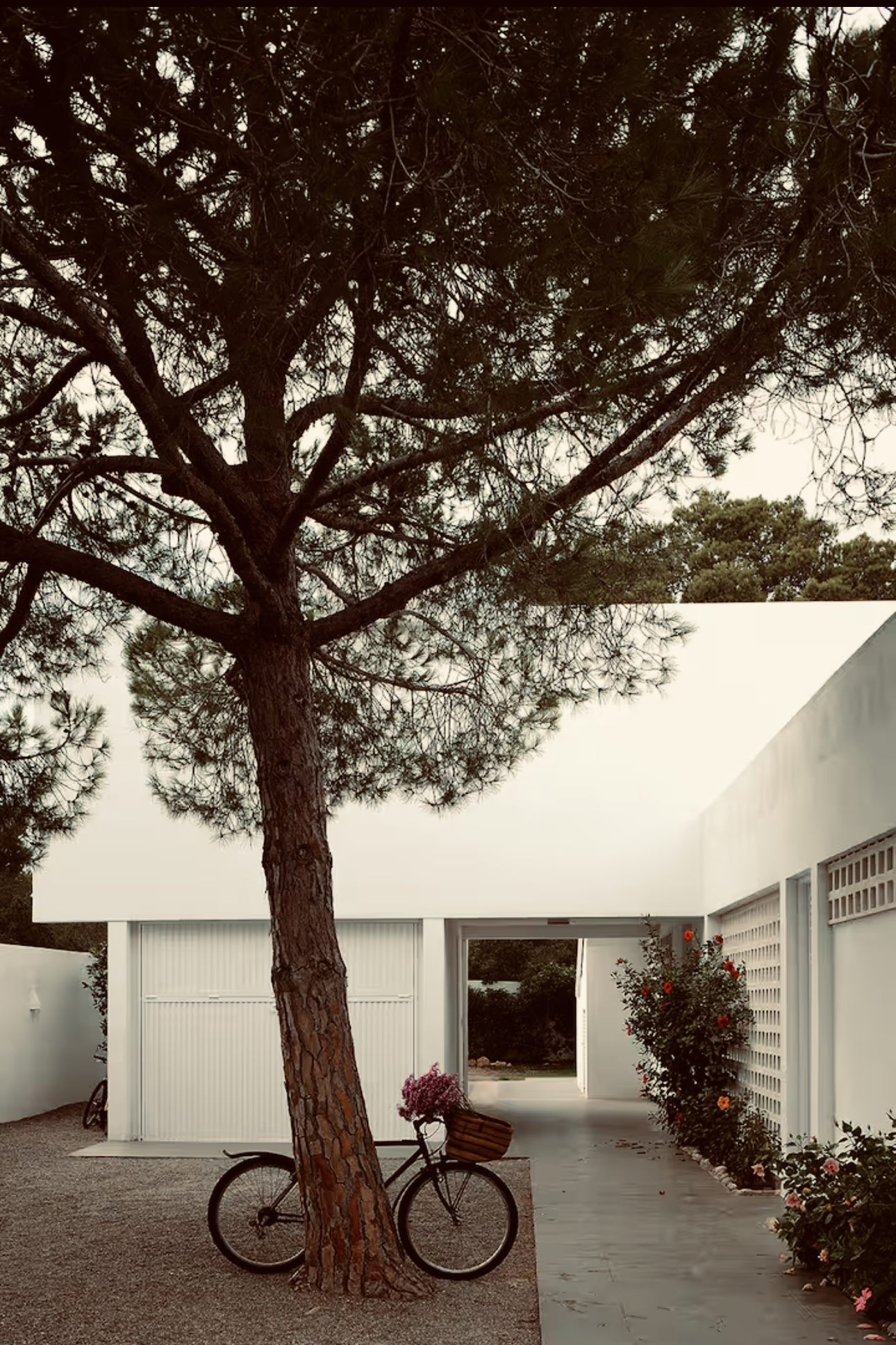 LA MORENETA