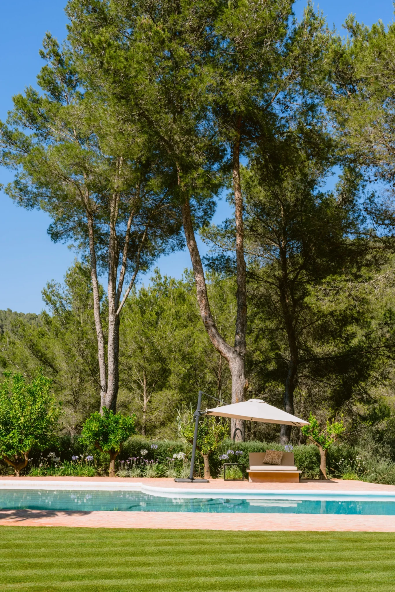 FINCA MIRA