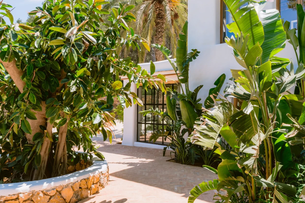 FINCA MIRA