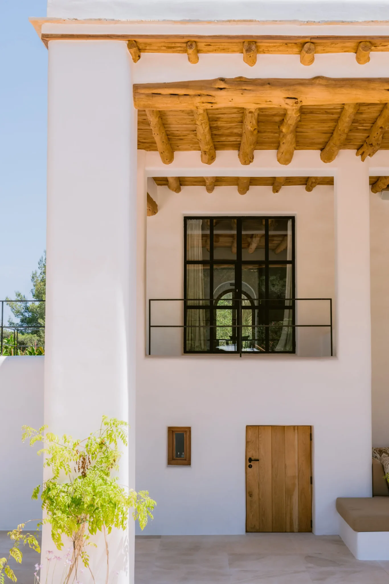 FINCA MIRA