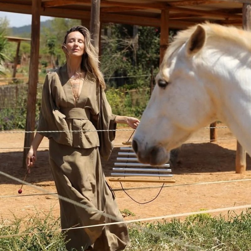 Equine therapy and horse coaching