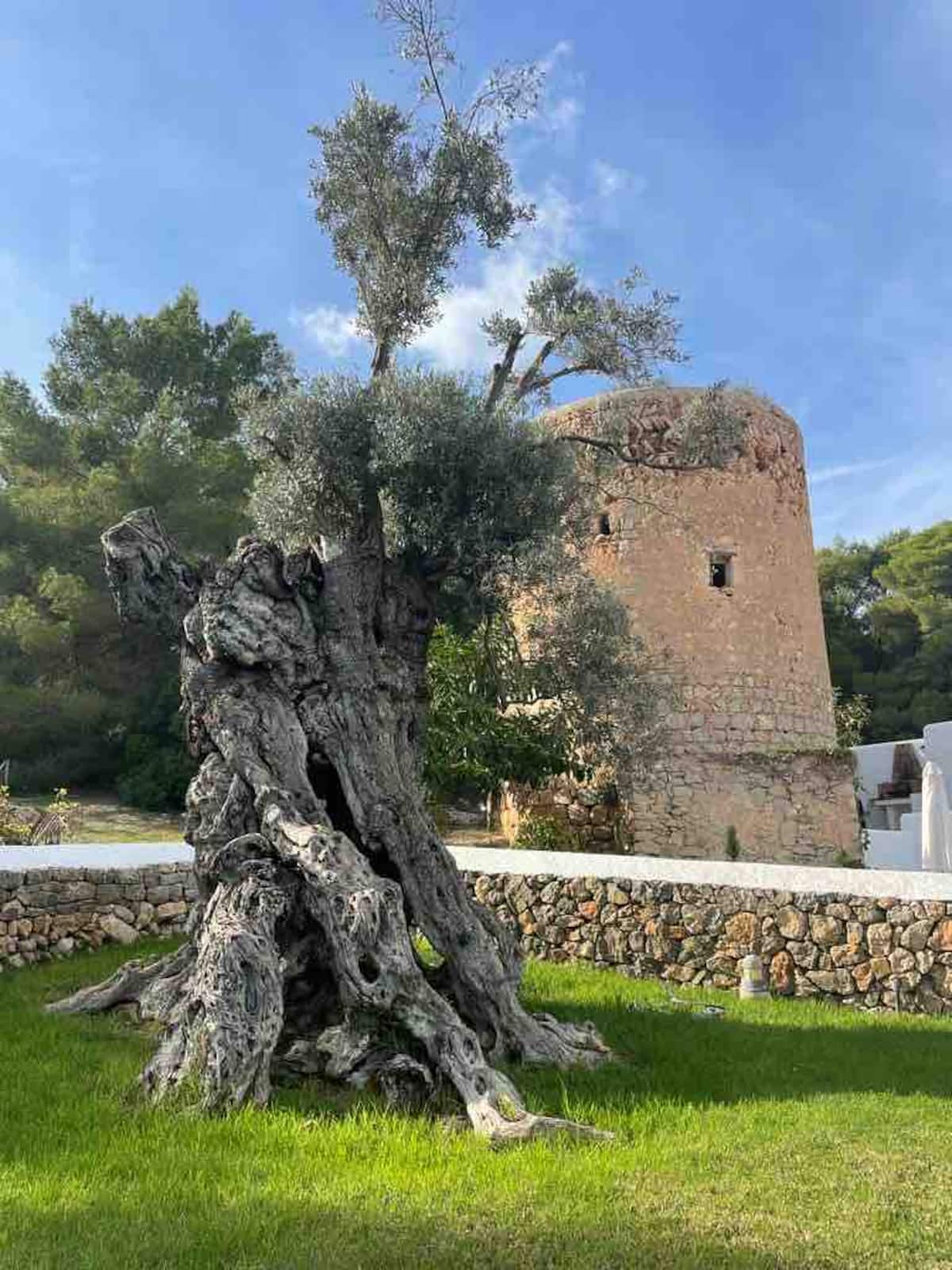 LA TORRE