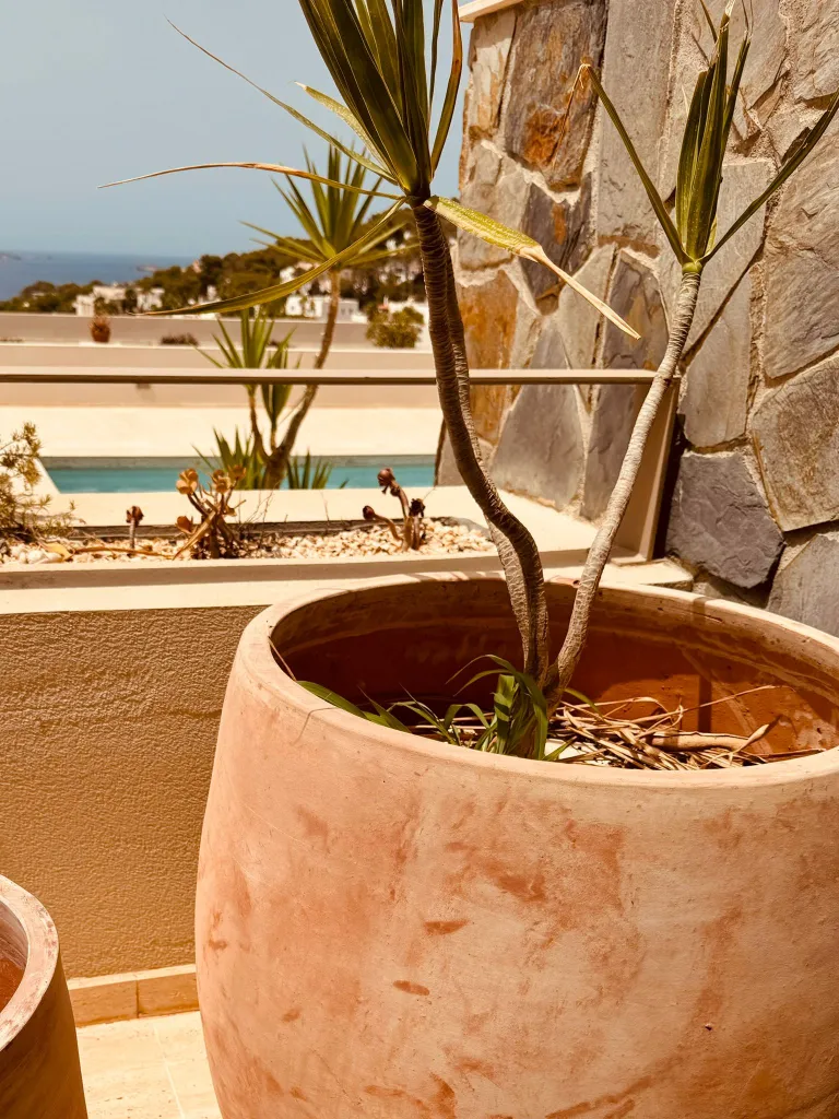 LUXURY DUPLEX | CALA CARBO – ES VEDRA