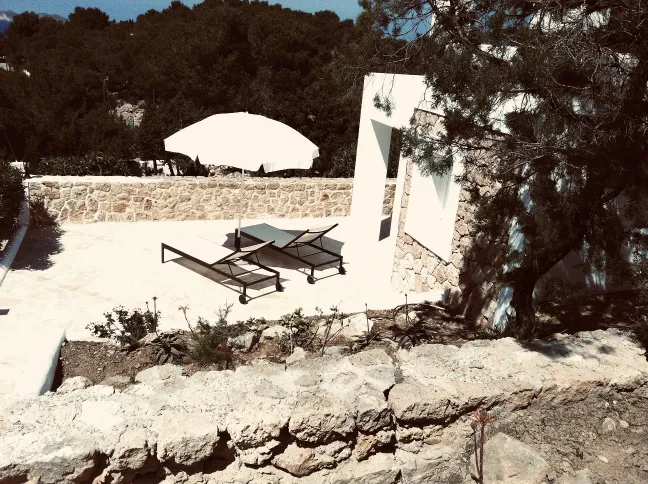 STUDIO MOLI