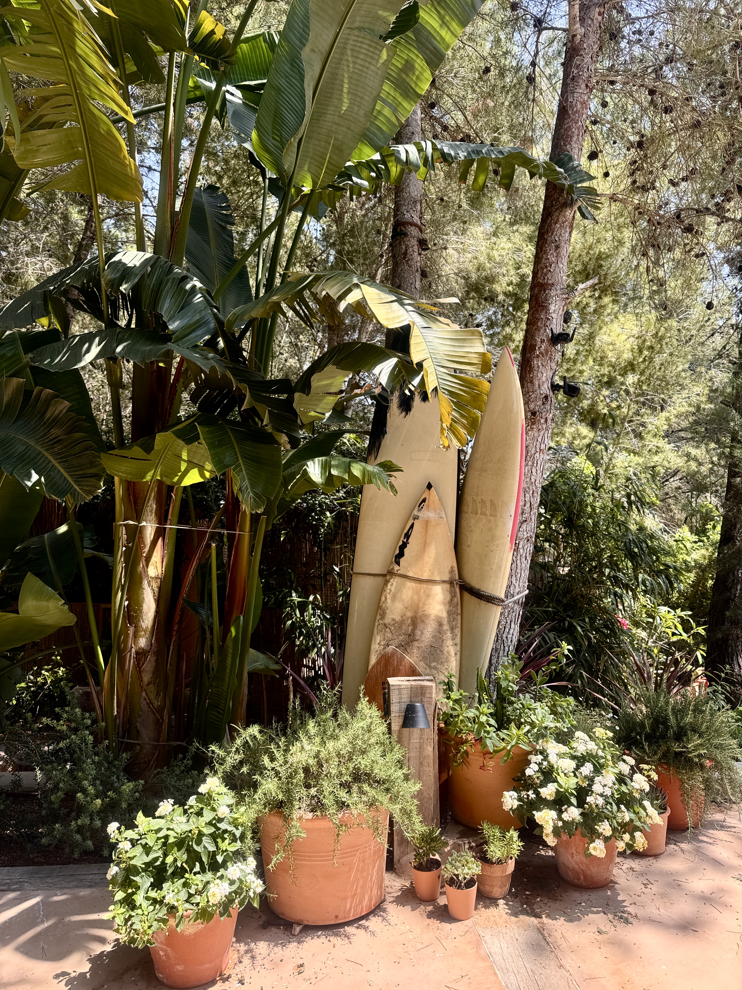CASA LA BOHEME