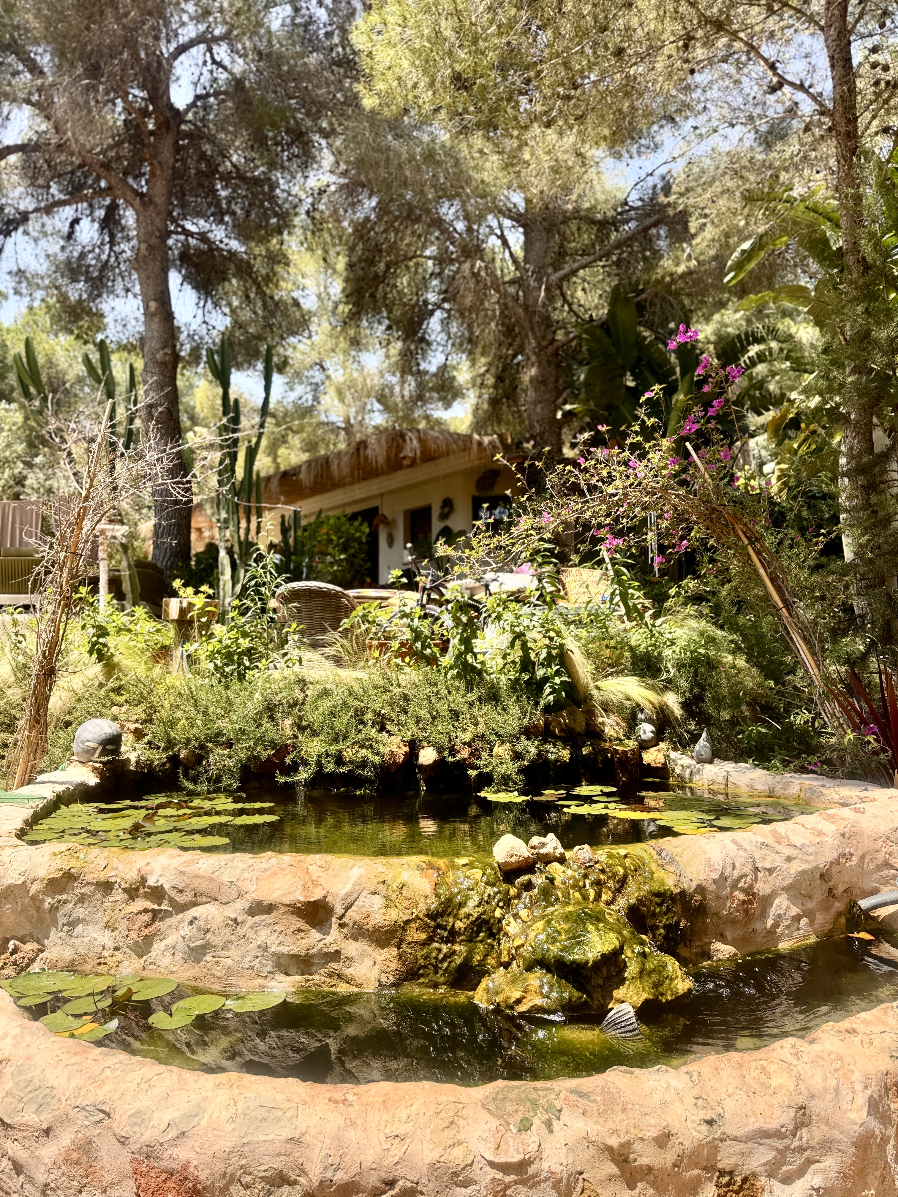 CASA LA BOHEME