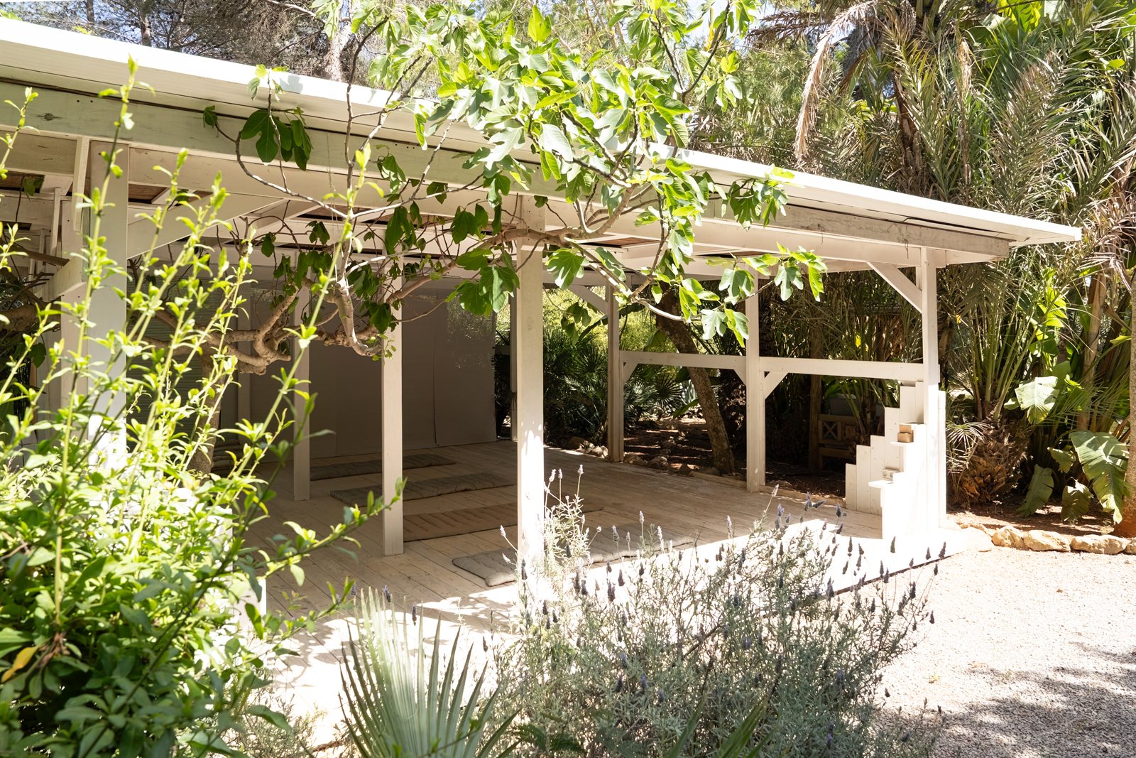 CASA MORNA