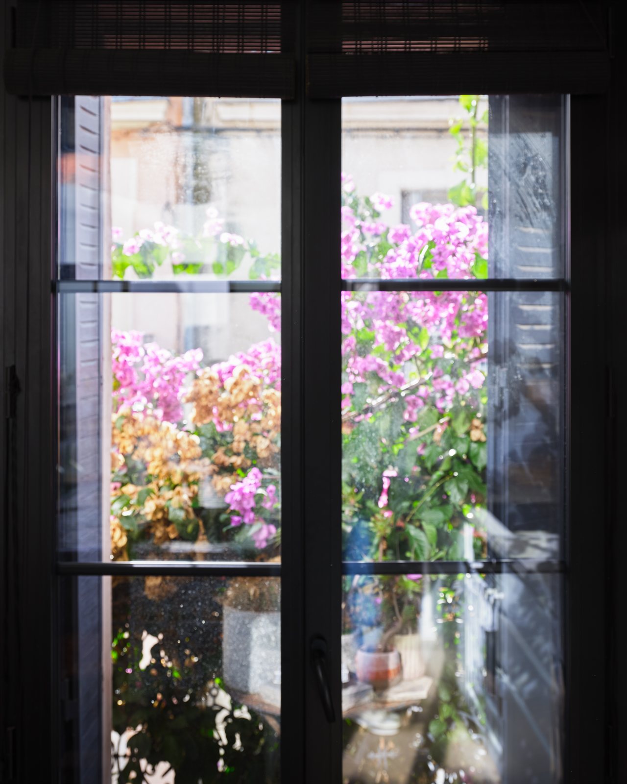 LA CASA FELICIDAD