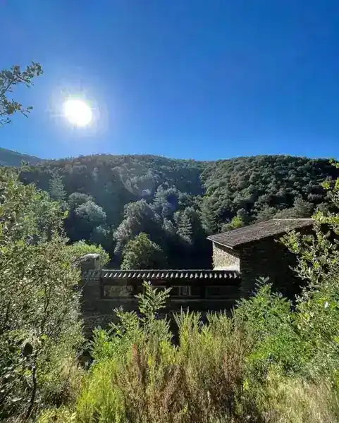 MAS DU TEL